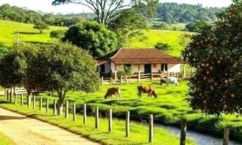 Imagem: Fazenda, Sítio, Chácara