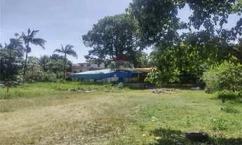 Imagem 7: Área para locação no bairro de Brás Cubas em Mogi das Cruzes