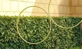 Imagem 2: Casas 2 e 3 Quartos em Senador Canedo, Condomínio fechado, Programa Minha Casa Minha Vida