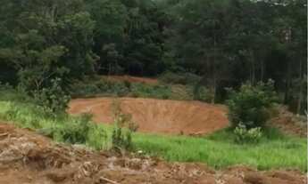 Imagem 7: Chácara de 10 mil m2 na Região de Piracanjuba