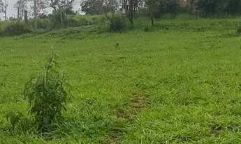 Imagem: Vendo lote de esquina em Itatiaiuçu