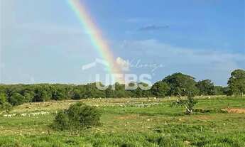 Imagem: Fazenda dupla aptidão - Bom Jardim de Goiás