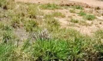 Imagem: Terreno para Venda em Bady Bassitt, Lago