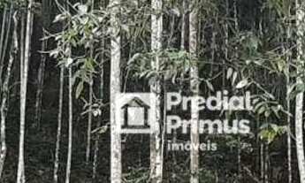 Imagem 5: Terreno à venda, 1345 m² por R$ 280.000,00 - Parque Imperial - Nova Friburgo/RJ