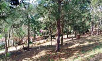 Imagem 2: Vendo chácara com 5004 metros quadrados