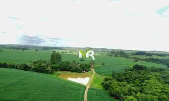 Imagem 5: Fazenda 52 Alqueires Ipameri - GO