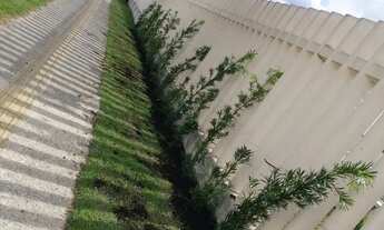 Imagem 2: Apartamento nunca habitado com 1 vaga !