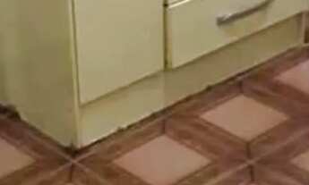 Imagem 2: REPÚBLICA DE PERDIZES