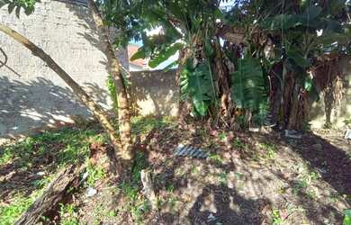 Imagem 6: Casa bairro Camaquã