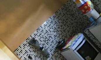 Imagem 2: Aluga-se casa em Jardim Paulista