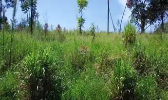 Imagem 2: Aceita financiamento Bancário -Terreno Com 1.730m2 Arujá SP - Topografia Aclive