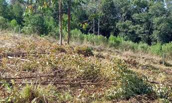 Imagem 5: Chácara em Quitandinha