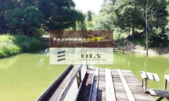 Imagem 6: Chácara à venda em Jandaia-Go ! 7.1 Alqueires !