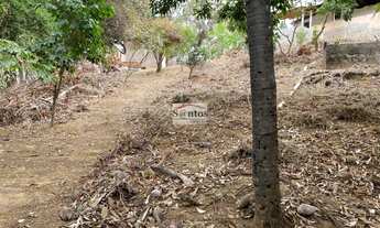 Imagem 2: Vendo Chácara no São Raimundo