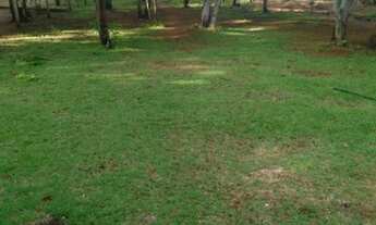 Imagem 4: Chácara km 47, sentindo lageado, c 20mt d lago , área total 5.319mt2, píer homologado