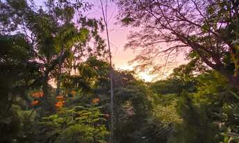 Imagem 4: Aldeia casa linda com 3 terrenos , possuindo jardim maravilhoso e piscina