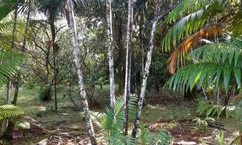 Imagem 2: Vendo ou troco 10 mil mm10x30