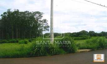 Imagem 4: Terreno (terreno normal