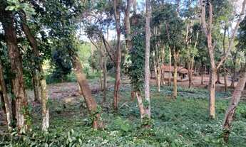 Imagem 7: Lote/Terreno para venda possui 75000 mil metros quadrados em Cascalheira Abrantes