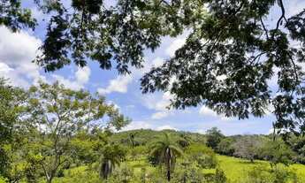 Imagem 5: Lotes e terrenos em São Vicente-Baldim e região há partir de 39.000,00!
