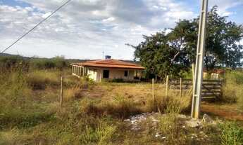 Imagem: Vendo chácara em terra nova