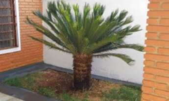 Imagem 2: Casa para venda com 125 metros quadrados com 3 quartos em Jurunas - Belém - Pará