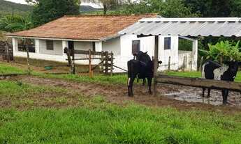 Imagem 7: FAZENDA COM 72 HECTARES EM ARAXÁ MG