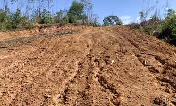 Imagem: Terreno para plantação