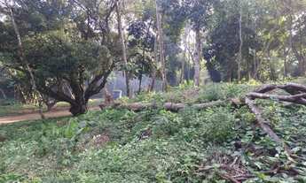 Imagem 3: Lote/Terreno para venda possui 75000 mil metros quadrados em Cascalheira Abrantes