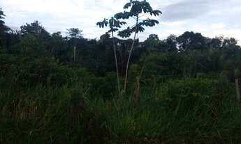 Imagem 2: Terreno apeú castanhal