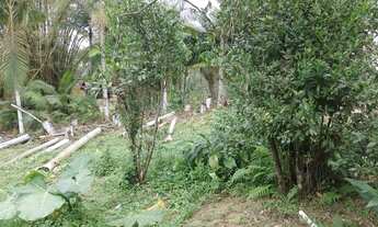 Imagem 5: Chácara na vila da gloria