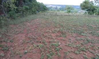 Imagem 4: Chácara na região de planalmira-go!