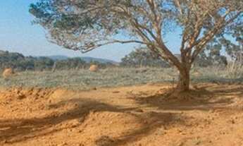 Imagem 2: R4-Cachoeiras dentro do local