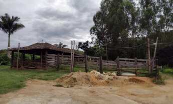 Imagem 7: Fazenda 450 hectares ótima de água à venda em Setubinha/MG