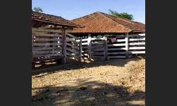 Imagem: Trindade - FAZENDA - FAZENDA MARCELINO