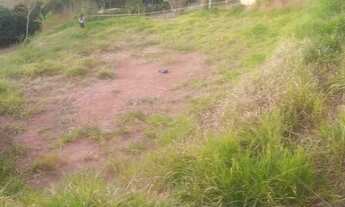 Imagem 6: Terreno MG-353(Privilégio