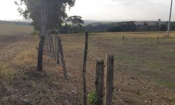 Imagem 2: Sitio em cajuru 8.5 alqueires 900.000.00 ( don
