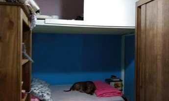 Imagem 4: LOJA - BELA VISTA - SP