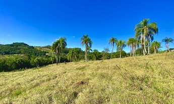Imagem 7: Sitio com 6 Hectares em Três Coroas na Localidade de Figueira na Serra Gaúcha