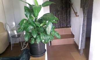 Imagem 5: Casa à venda ou troca "Estudamos Valor de Volta"