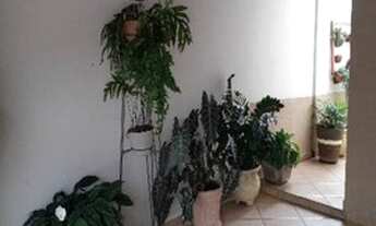 Imagem 4: Casa para venda com 2 quartos em Jardim Souto - São José dos Campos - SP