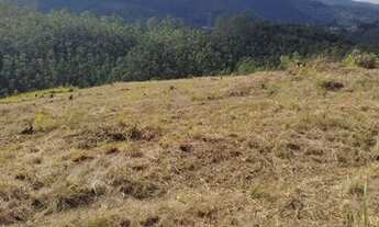 Imagem: Terrenos belíssimos de 1000m em oferta!!!