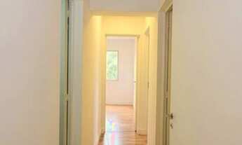 Imagem 3: APARTAMENTO - MORUMBI - SP