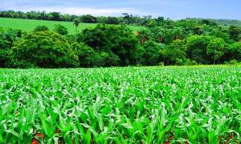 Imagem 2: Vendo Terrenos de 20.000m² na Região do Vila Amanda 19.515 + Parcelas