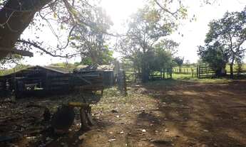 Imagem 4: Chácara / sítio Jaraguari bom fim asfalto 31ha