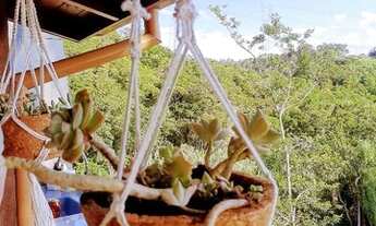 Imagem 3: Descanso Merecido