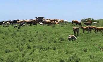 Imagem 2: AR 2741) Área Rural - Interior da cidade de Caçapava