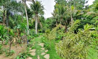 Imagem 6: Chácara fabulosa dentro de Goiânia 8000M² ótimo para investimento ou lazer