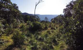 Imagem 5: Área rural para chácara com 30.000 m2 - Campo Alegre - SC