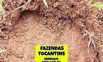 Imagem 5: Fazenda Araguacema